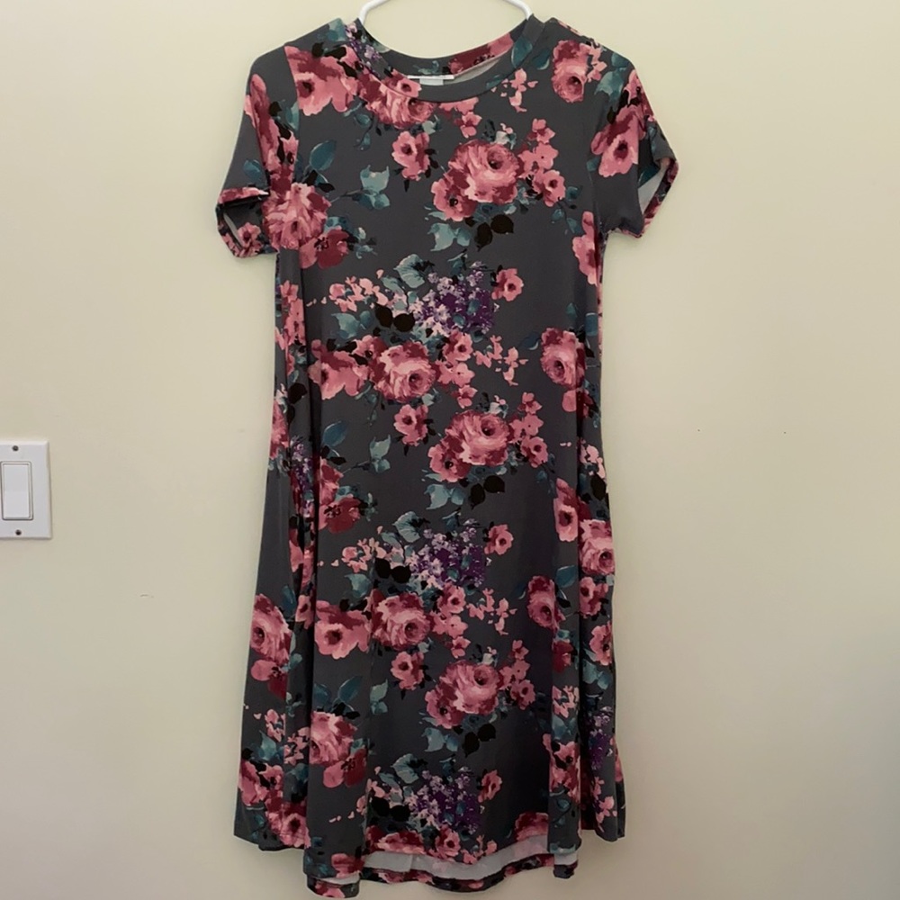 Honey & Lace Floral Dress